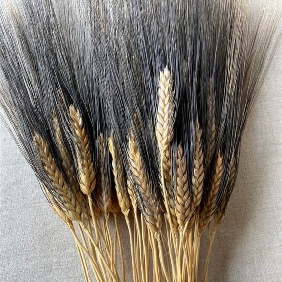 NATURAL DECORTIVE DRY WHEAT - Picture 3 of 5